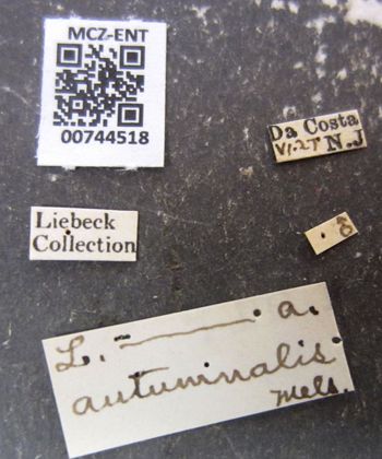 Media type: image;   Entomology 744518 Aspect: labels